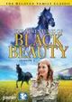 The Adventures Of Black Beauty: Season 2 (1973) On DVD