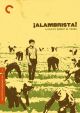 Alambrista! (Criterion Collection) (1977) On DVD