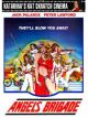 Angels Brigade (1979) On DVD