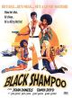 Black Shampoo (1976) On DVD