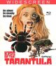Kiss of the Tarantula (1975) on Blu-ray