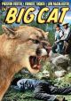 The Big Cat (1949) On DVD