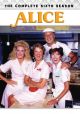 Alice: The Complete Sixth Season (1981-1982) on DVD
