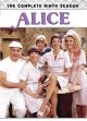  Alice: The Complete Ninth Season (1984) on DVD