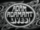 Adam Adamant Lives! (1966-1967 complete TV series) DVD-R