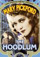 The Hoodlum (1919) On DVD