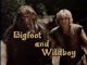 Bigfoot and Wildboy (1977-1979 TV series)(9 episodes on 3 discs) DVD-R