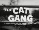 The Cat Gang (1959) DVD-R