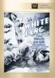 White Fang (1936) On DVD