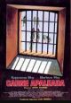Battered Flesh AKA Carne Apaleada (1978) DVD-R