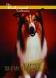 The Story Of Lassie (1994) On DVD