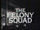The Felony Squad (1966-1969 TV series)(70 episodes on 9 discs) DVD-R