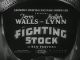 Fighting Stock (1935) DVD-R