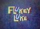 Flukey Luke (1964-1966 TV series)(complete series) DVD-R