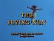 The Flying Nun ( 1967-1970 complete TV Series 1967–1970) DVD-R