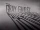 The Gray Ghost (1957 TV series)(3 discs, 14 episodes) DVD-R