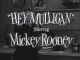 The Mickey Rooney Show a.k.a. Hey Mulligan (1954-1955 TV series)(21 episodes on 2 discs) DVD-R