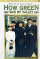 How Green Was My Valley (1976 TV series)(complete series) DVD-R