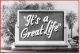It's a Great Life (1954-1956 TV series)(10 disc set, 73 episodes) DVD-R