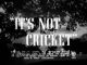 It's Not Cricket (1949) DVD-R