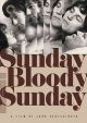Sunday, Bloody Sunday (Criterion Collection) (1971) On DVD