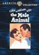 The Male Animal (1942) On DVD