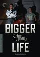 Bigger Than Life (Criterion Collection) (1956) On DVD