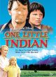 One Little Indian (1973) On DVD