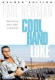 Cool Hand Luke (Deluxe Edition) (1967) On DVD