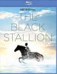 The Black Stallion (1979) On Blu-ray
