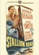 Stallion Road (1947) On DVD