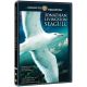 Jonathan Livingston Seagull (1973) On DVD