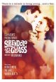 Splendor In The Grass (1961) On DVD