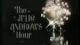 The Julie Andrews Hour (1972-1973 TV series)(11 disc set, complete series) DVD-R