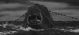 Killer Whale (1962) DVD-R