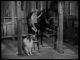 Lassie: Season 7 (1960-1961 TV series) DVD-R