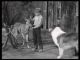 Lassie: Season 8 (1961-1962 TV series) DVD-R