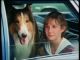 Lassie: Joyous Sound (1972) DVD-R