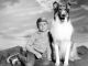 Lassie - Complete Series: Seasons 1-19 (1954-1973 TV series) DVD-R
