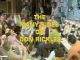 The Many Sides of Don Rickles (1970 TV Special) DVD-R
