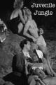 Juvenile Jungle (1958) DVD-R