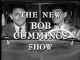 The New Bob Cummings Show (1961-1962 TV series)(17 episodes on 4 discs) DVD-R