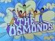 The Osmonds (1972 - cartoon series) (17 cartoons on 3 discs) DVD-R