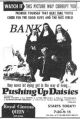 Pushing Up Daisies (1973) DVD-R