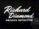 Richard Diamond, Private Detective (1957-1960 TV series)(13 disc set, complete series) DVD-R