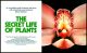 The Secret Life of Plants (1978) DVD-R