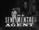The Sentimental Agent (1963 TV series)(4 disc set, complete series) DVD-R