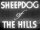 Sheepdog of the Hills (1941) DVD-R