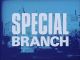 Special Branch (1969-1974 TV series)(50 episodes on 9 discs) DVD-R