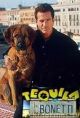 Tequila and Bonetti (1992 Complete TV series) DVD-R